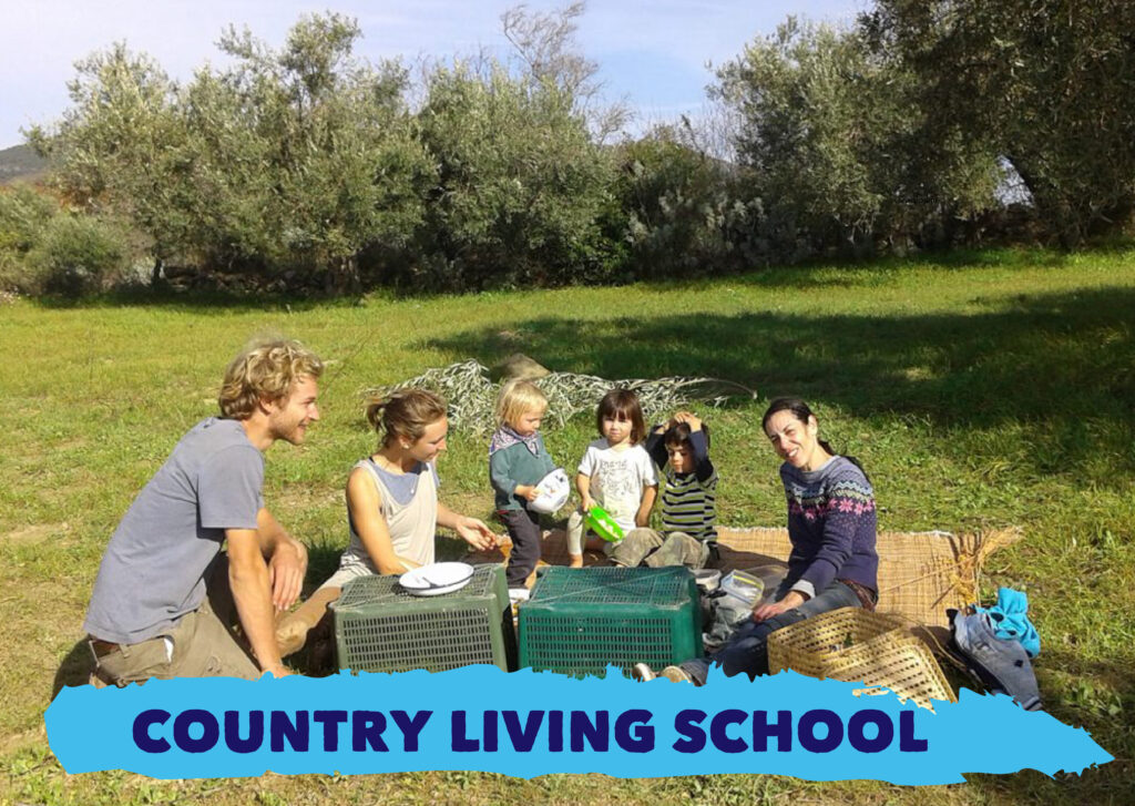 Country Living School Tavola disegno 1