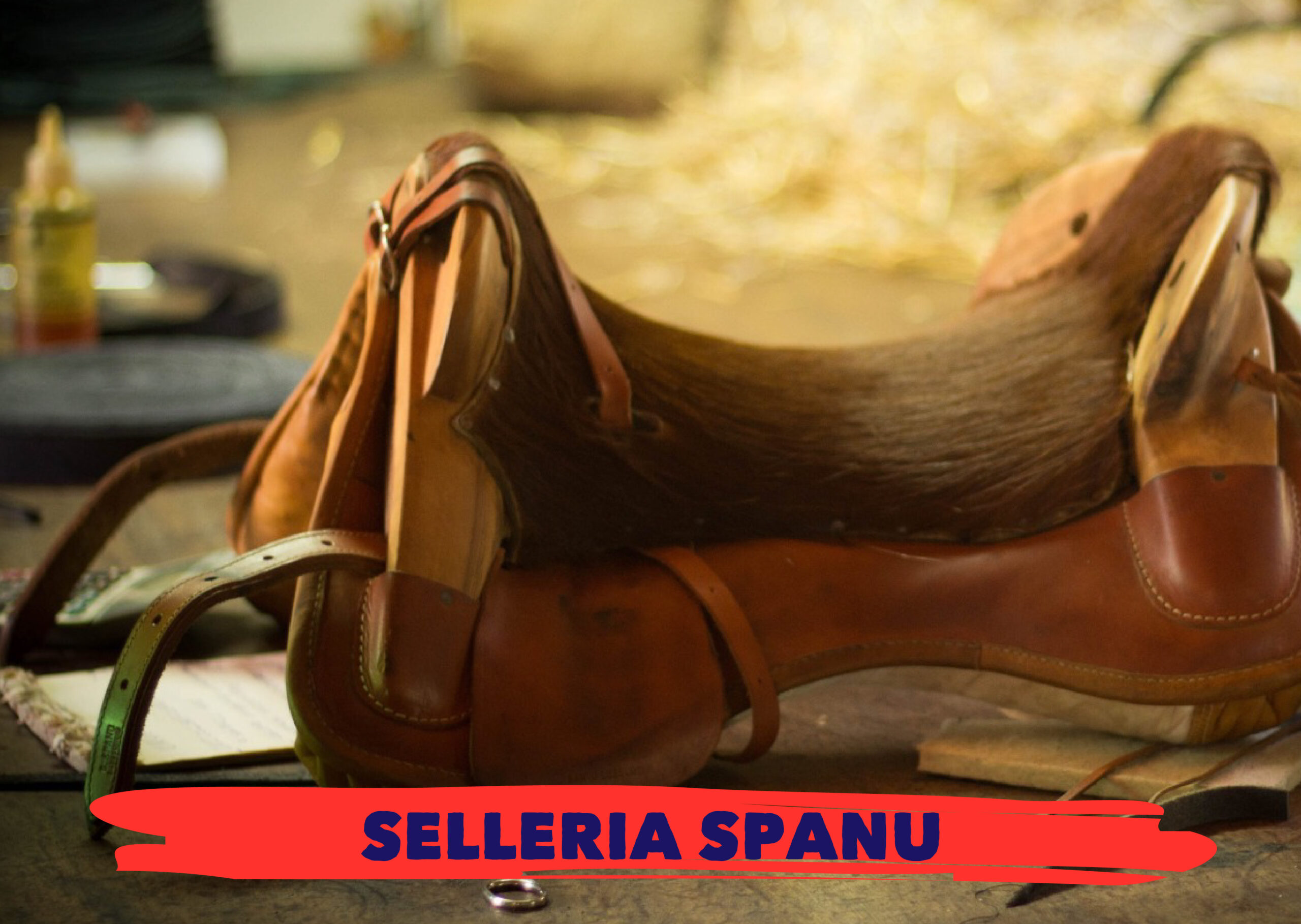 Selleria Spanu 01 scaled